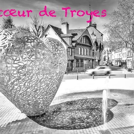 Appartement Hypercentre Troyes Eksteriør billede